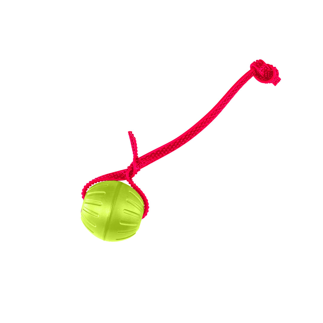 Discount Training Balls