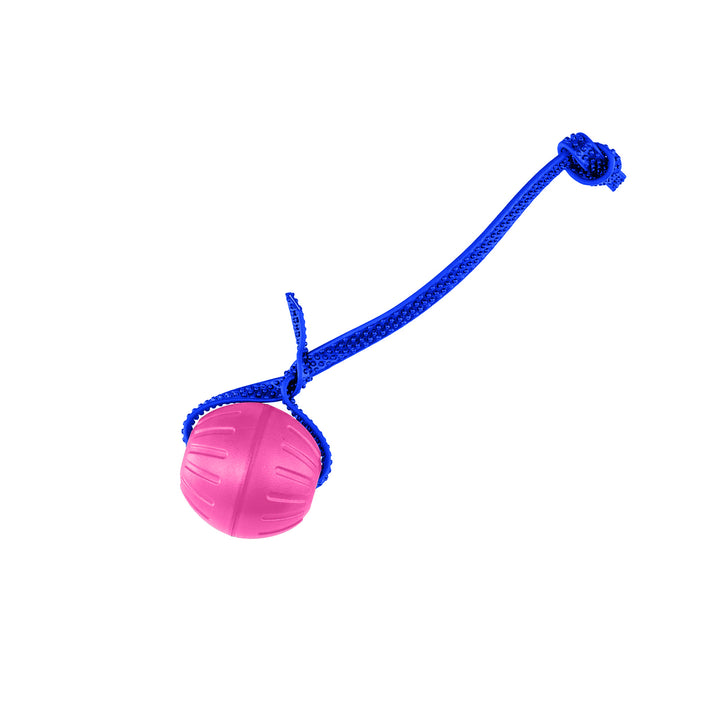 Discount Training Balls