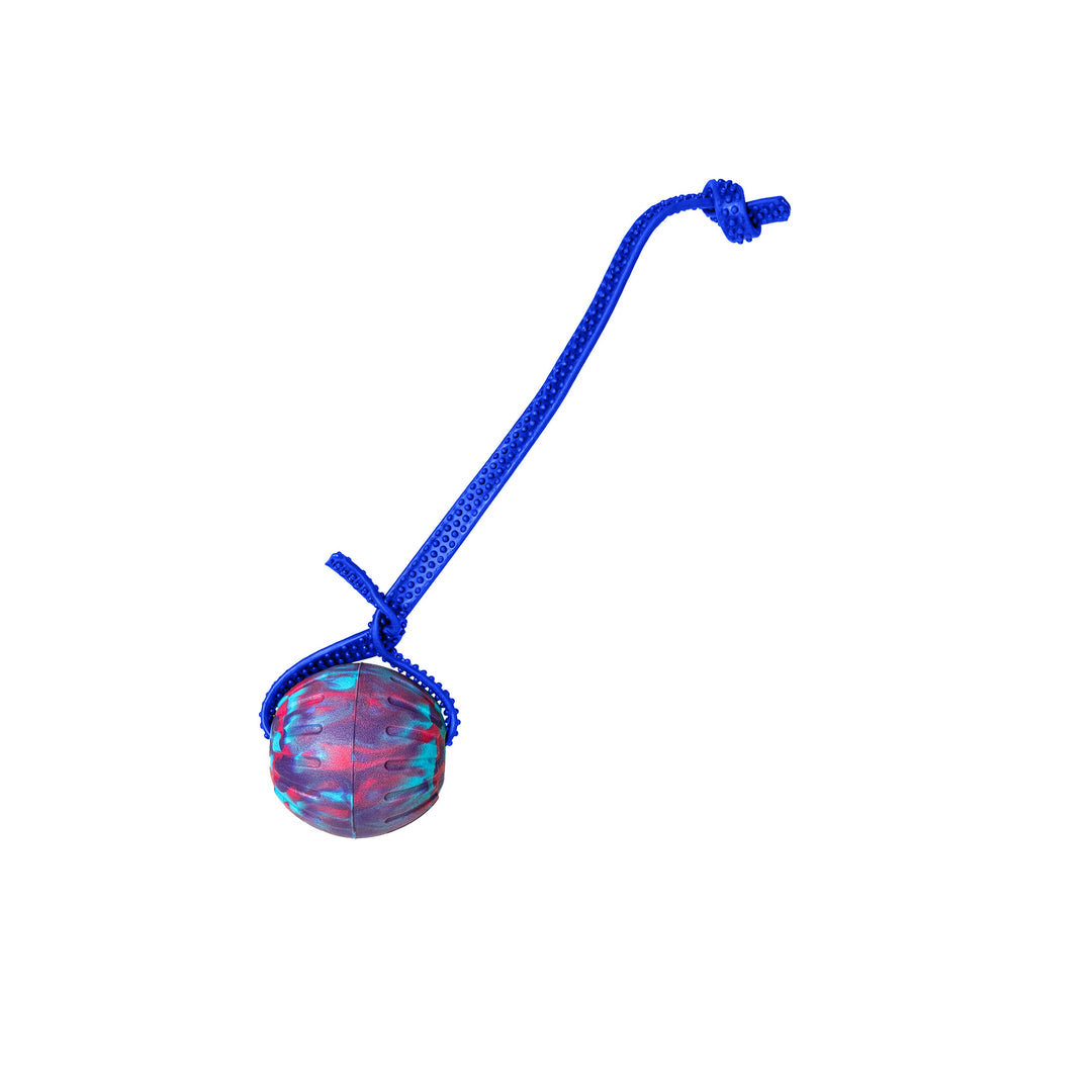 Discount Training Balls