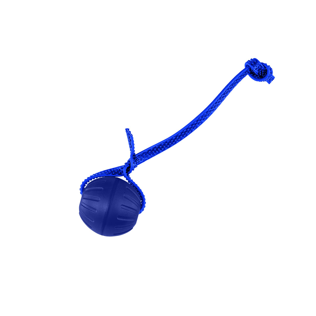 Discount Training Balls