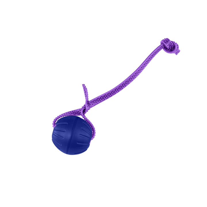 Discount Training Balls