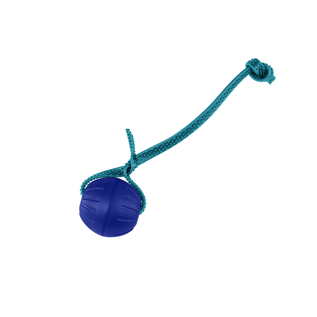 Discount Training Balls