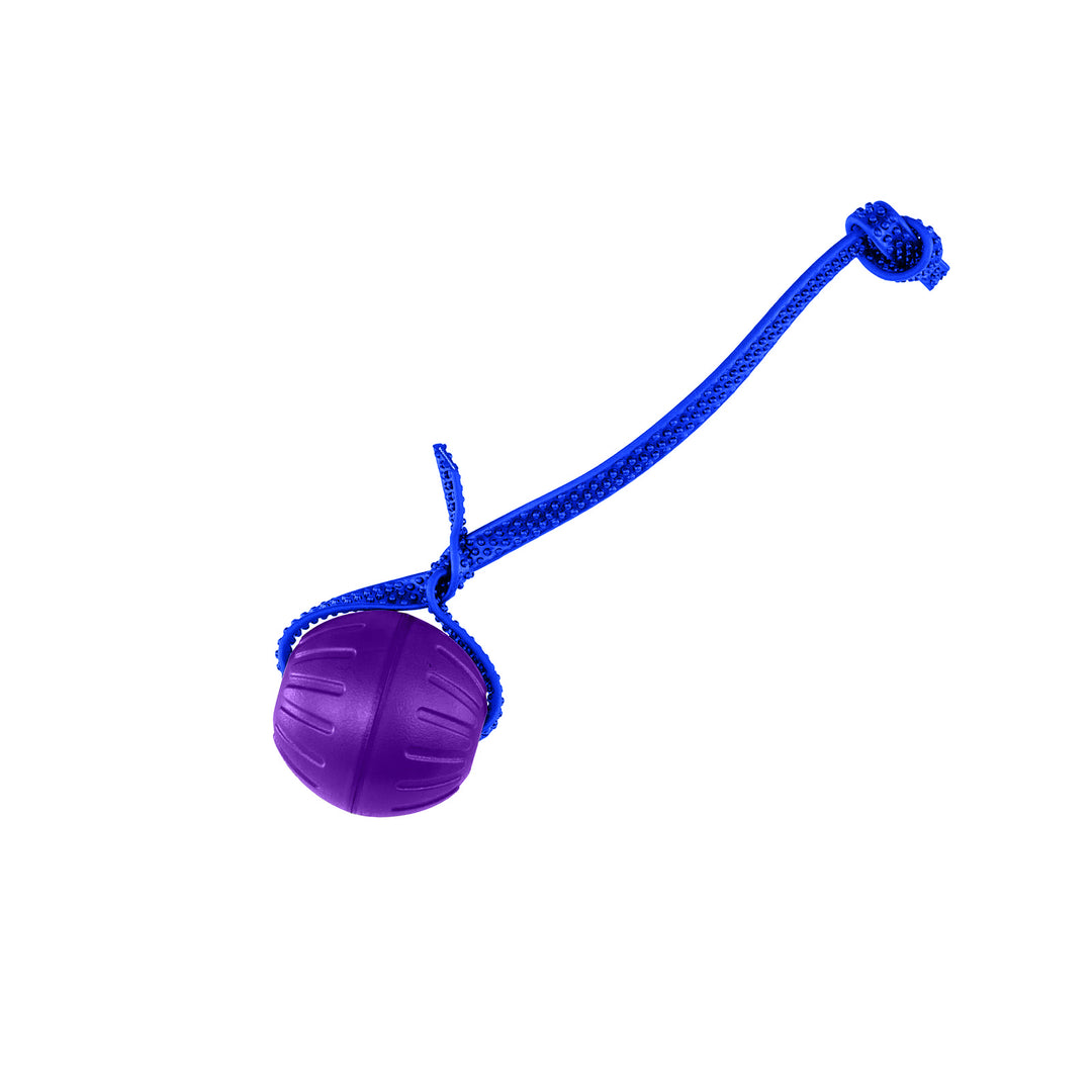 Discount Training Balls