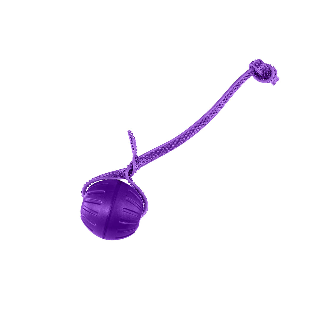 Discount Training Balls