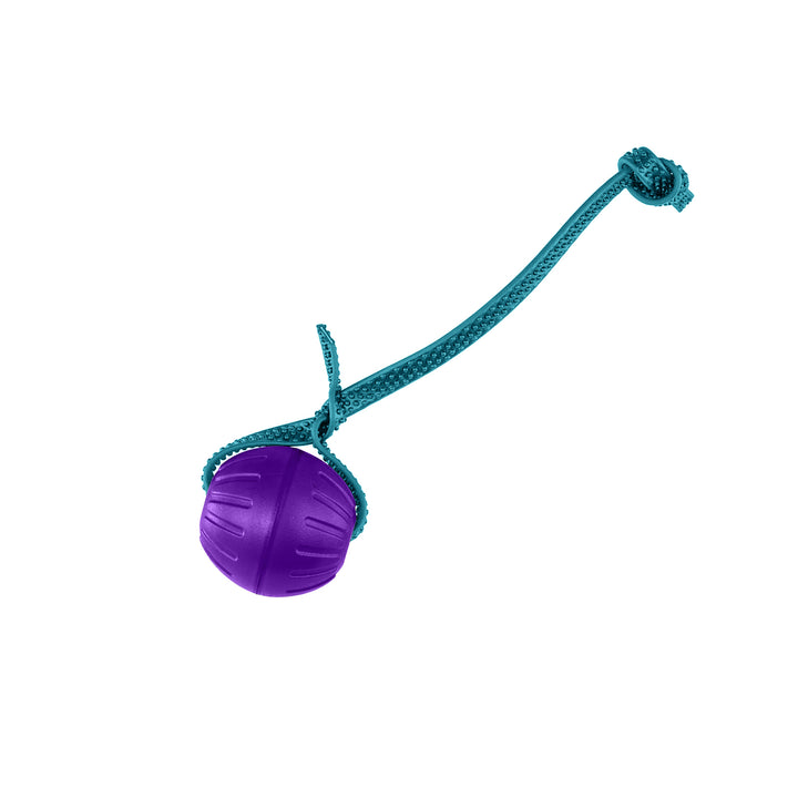 Discount Training Balls