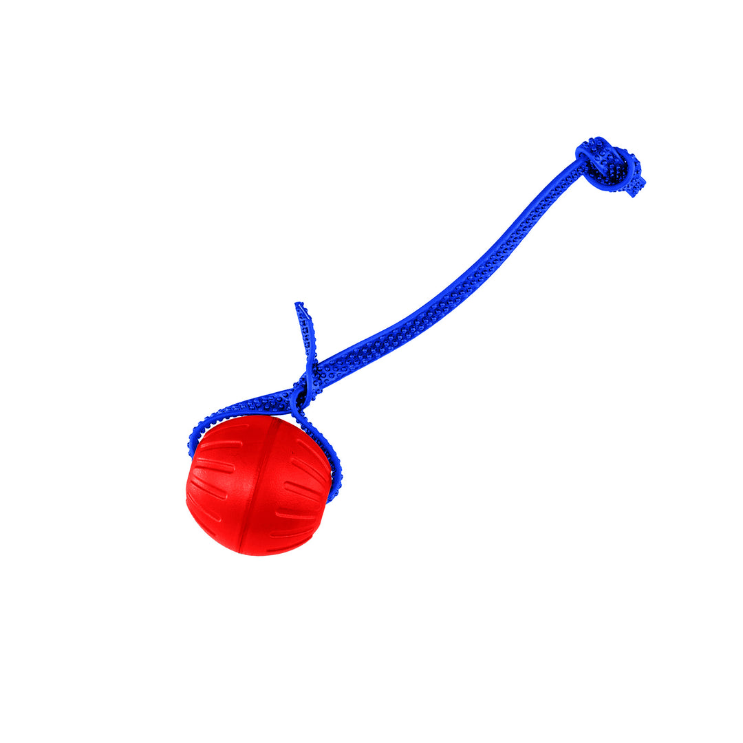 Discount Training Balls