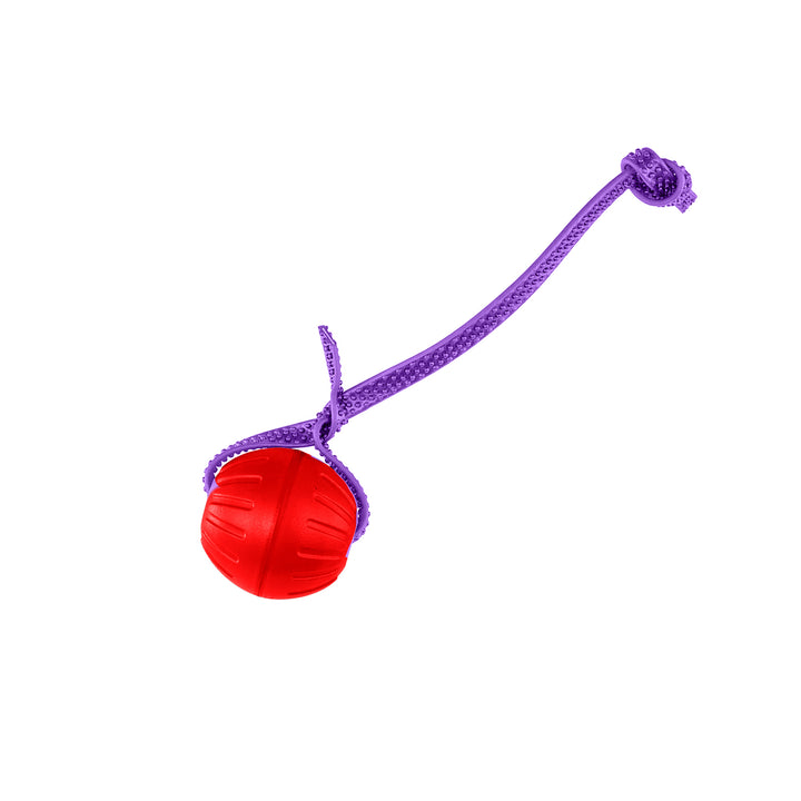 Discount Training Balls