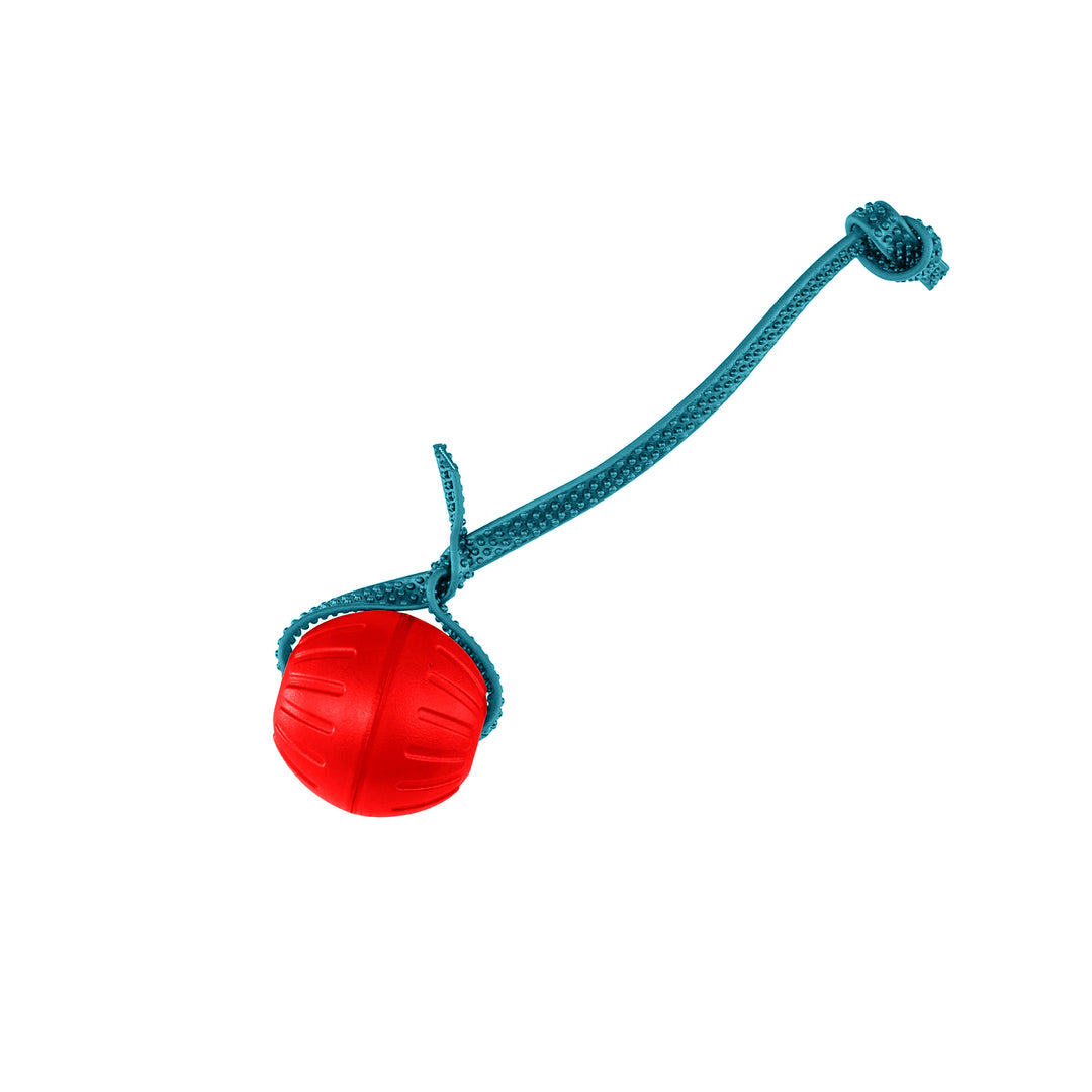 Discount Training Balls