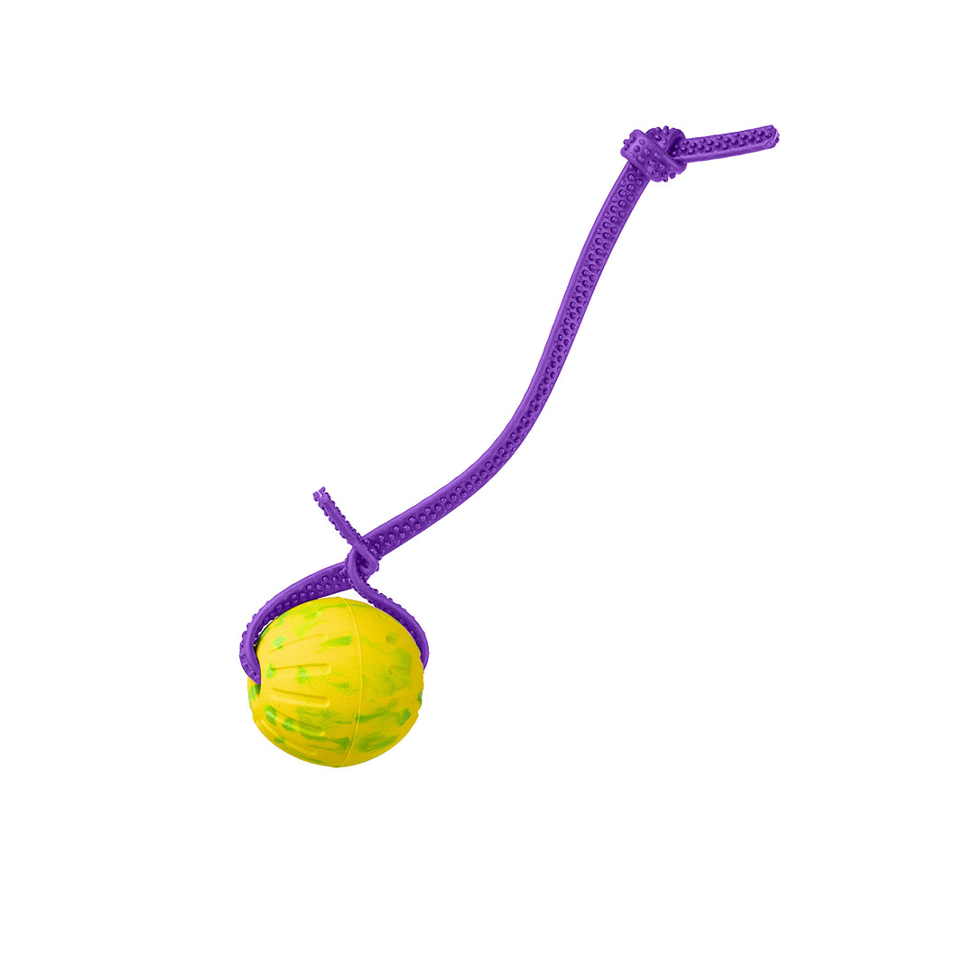 Discount Training Balls