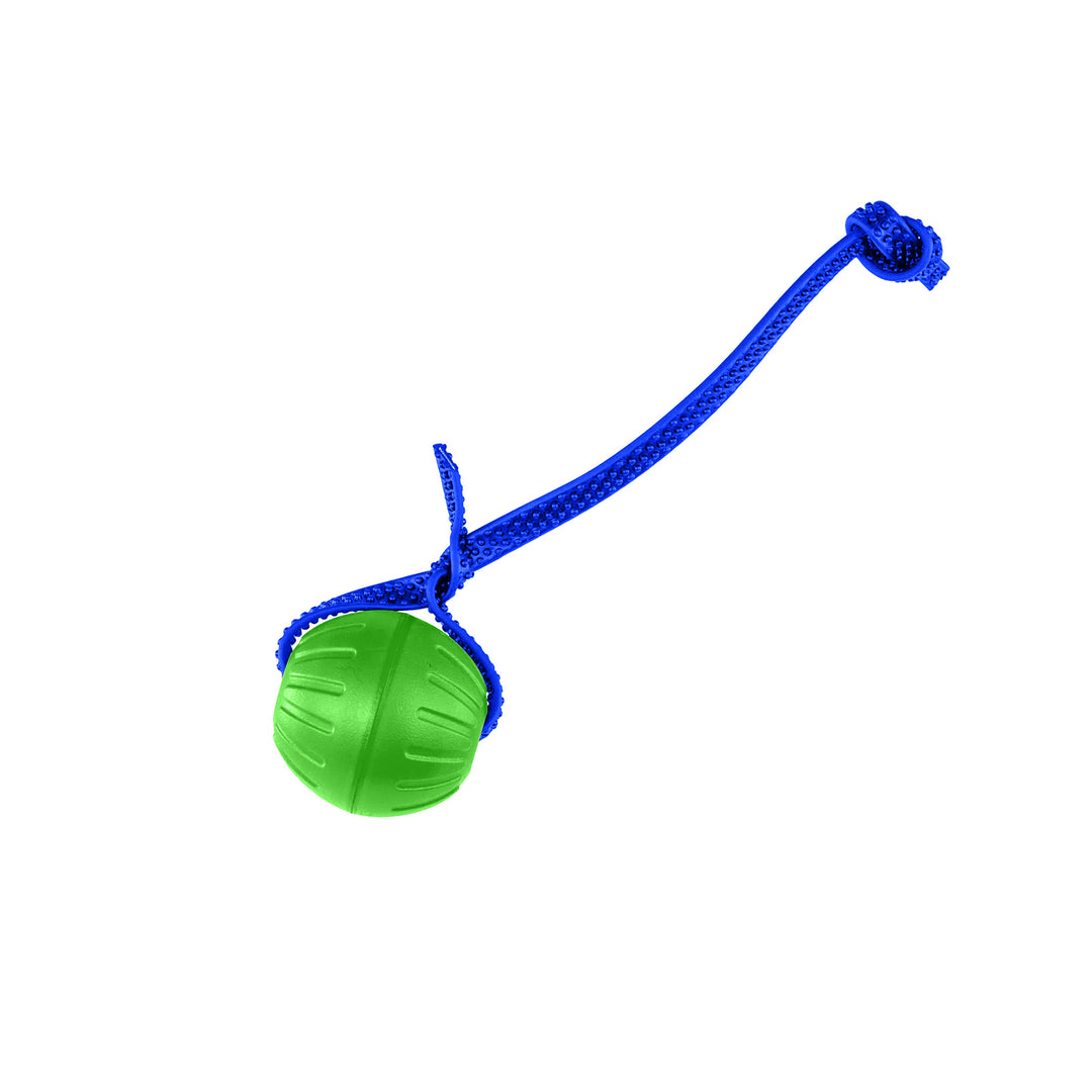 Discount Training Balls