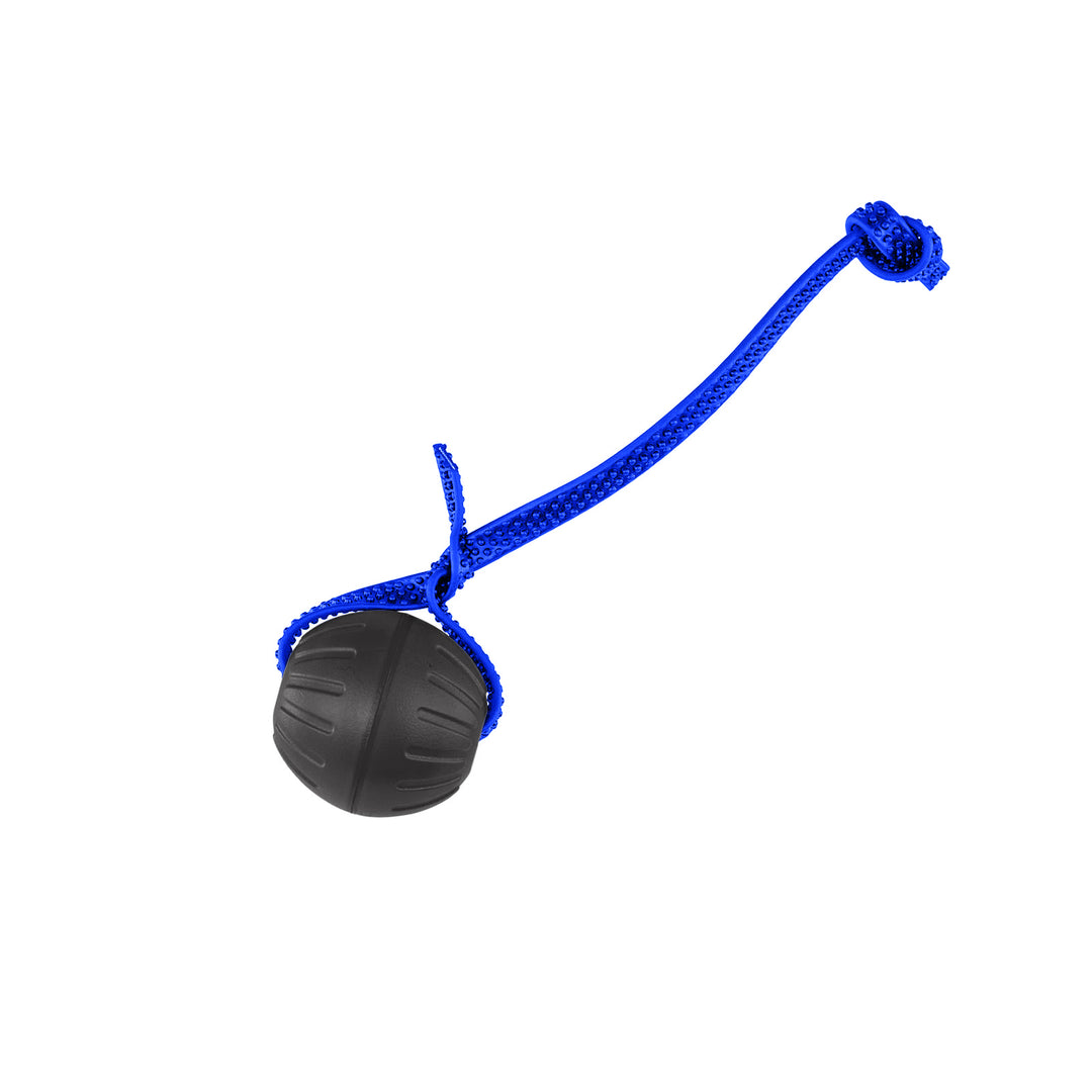 Discount Training Balls