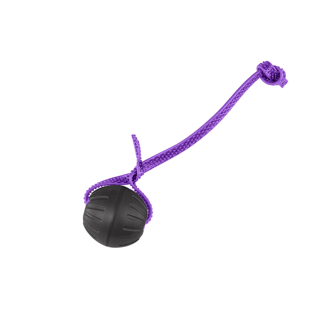 Discount Training Balls