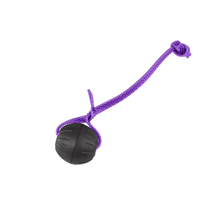 Discount Training Balls