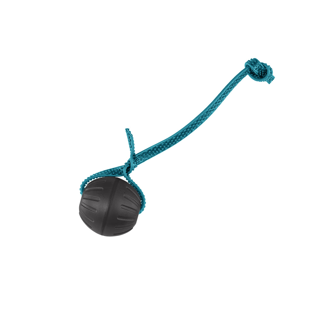 Discount Training Balls