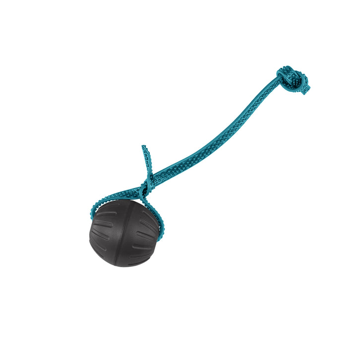 Discount Training Balls