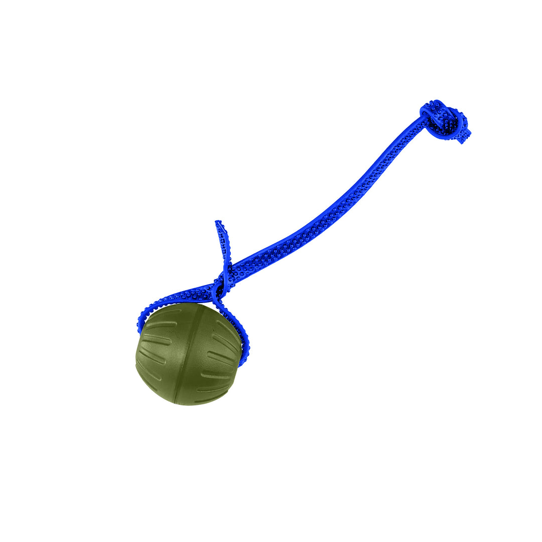 Discount Training Balls