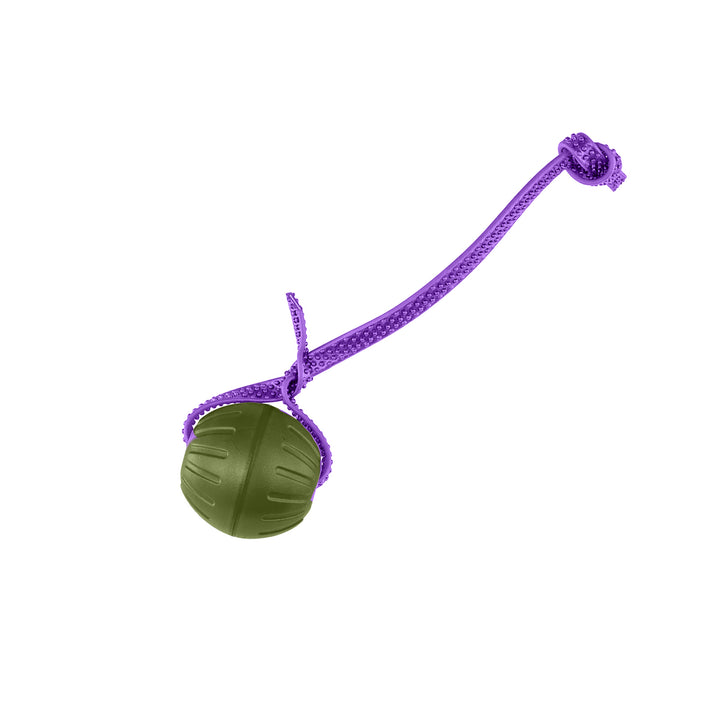 Discount Training Balls