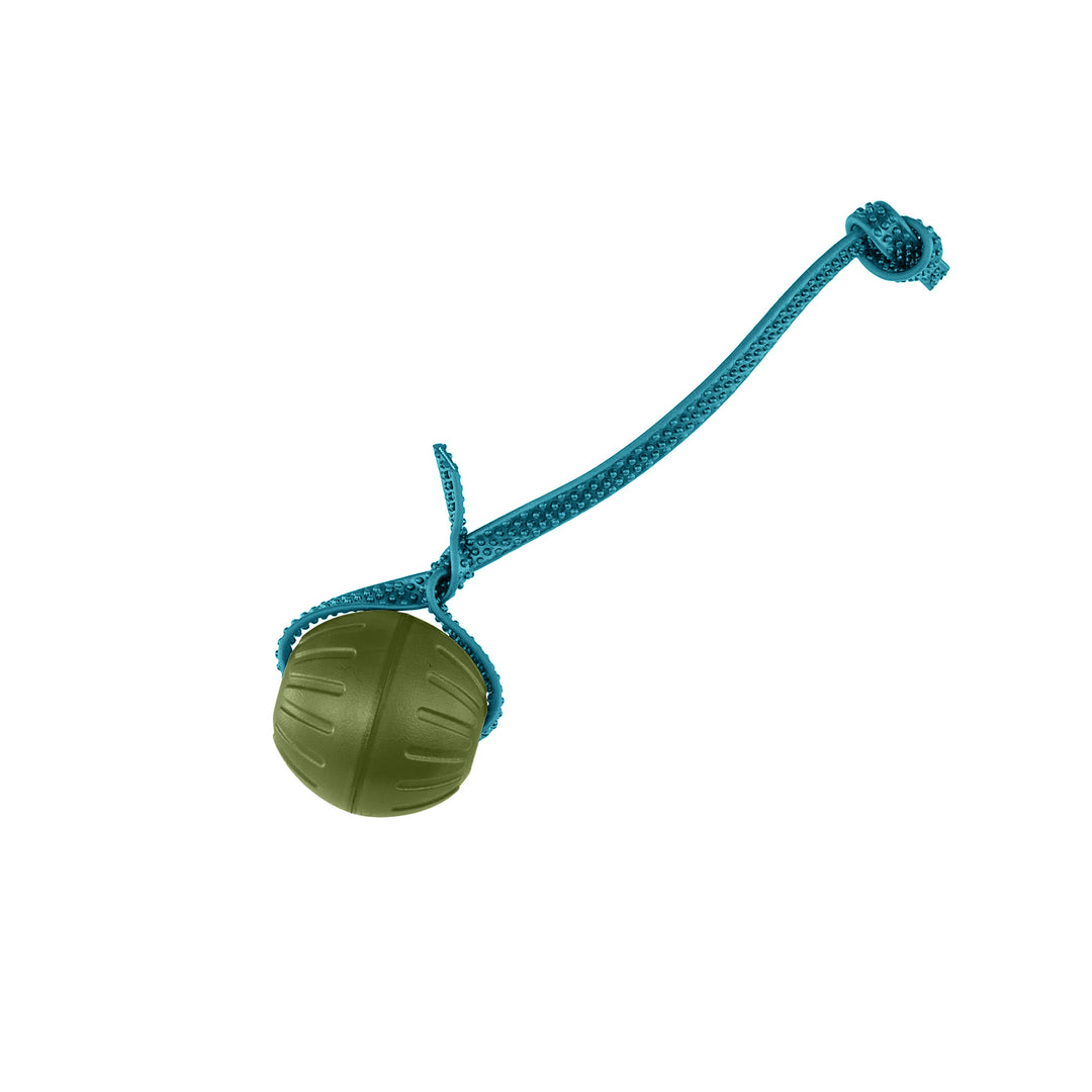 Discount Training Balls