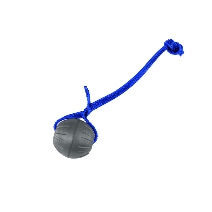 Discount Training Balls