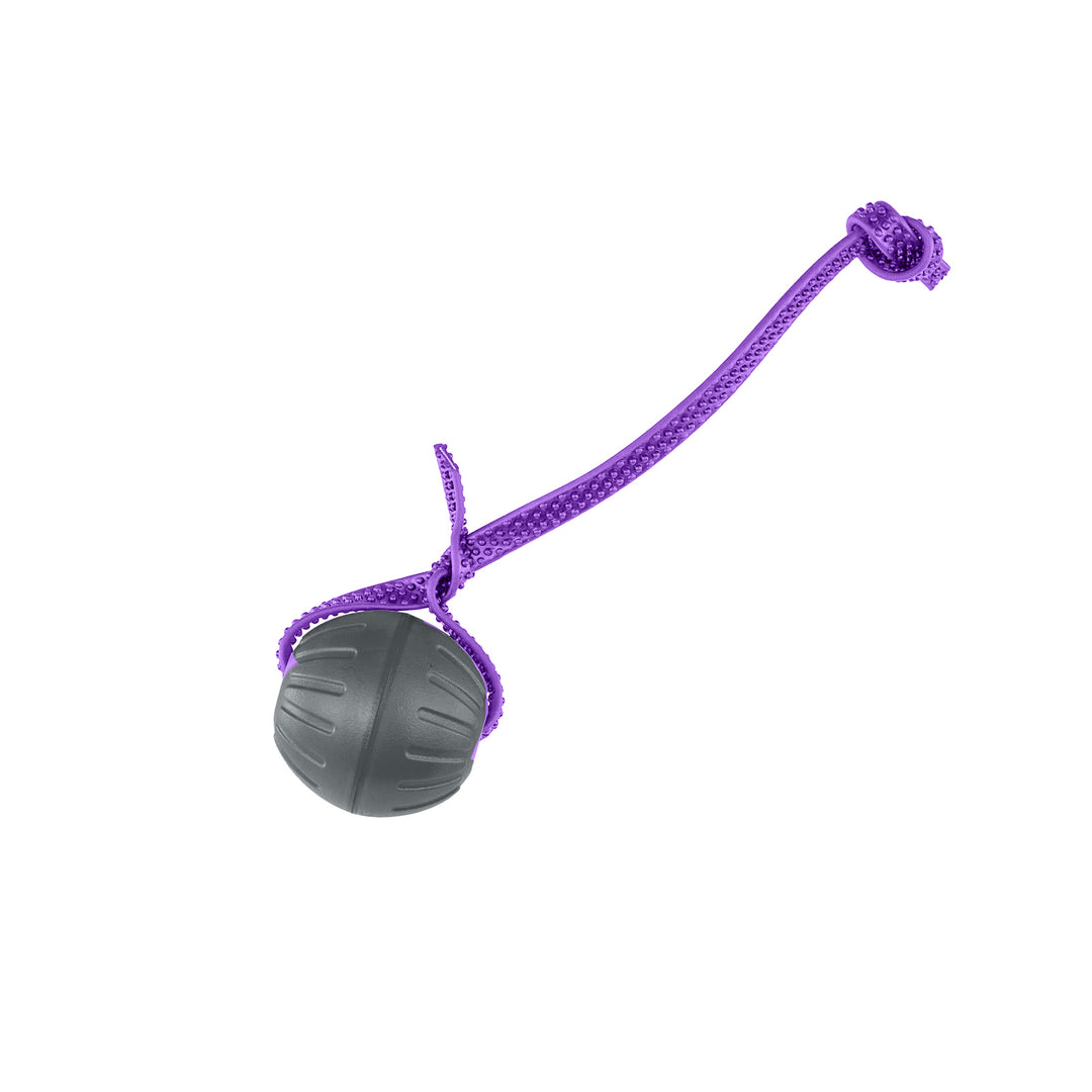 Discount Training Balls