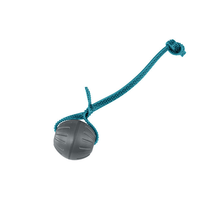 Discount Training Balls