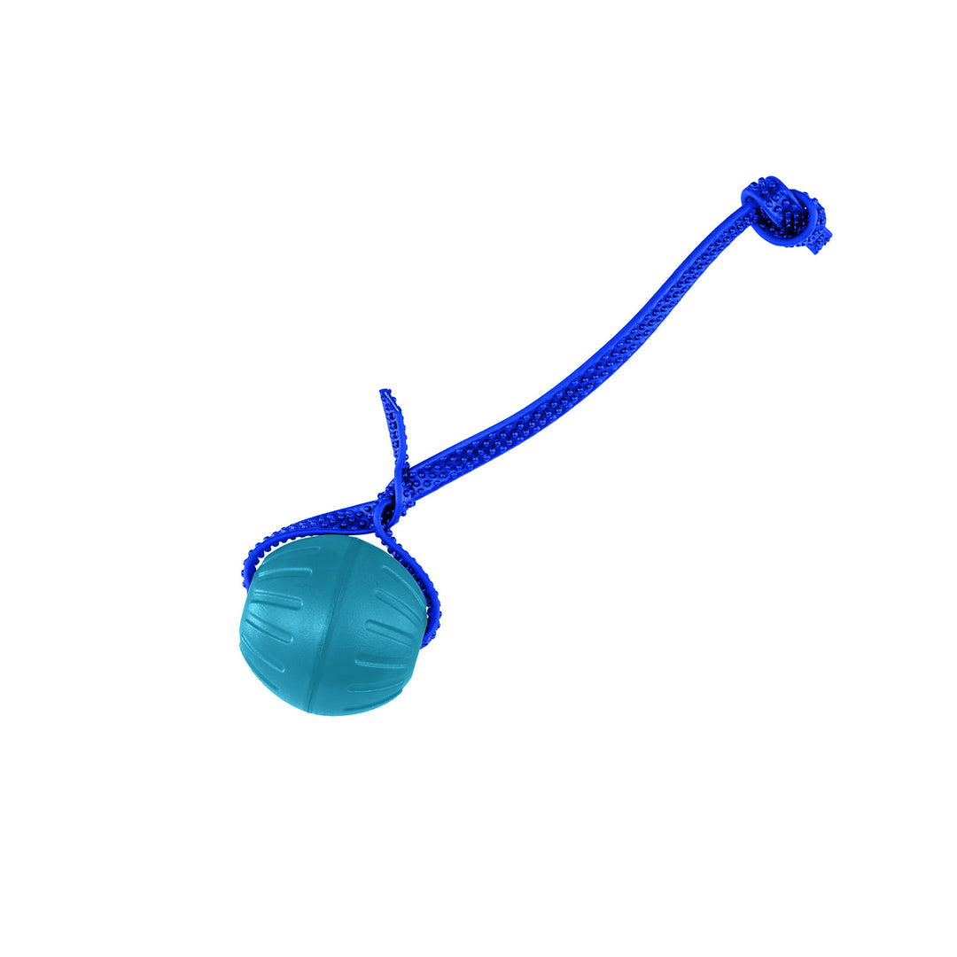 Discount Training Balls