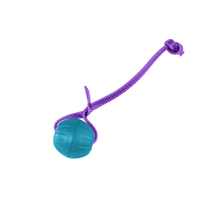 Discount Training Balls