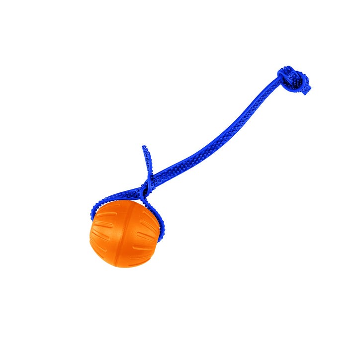 Discount Training Balls