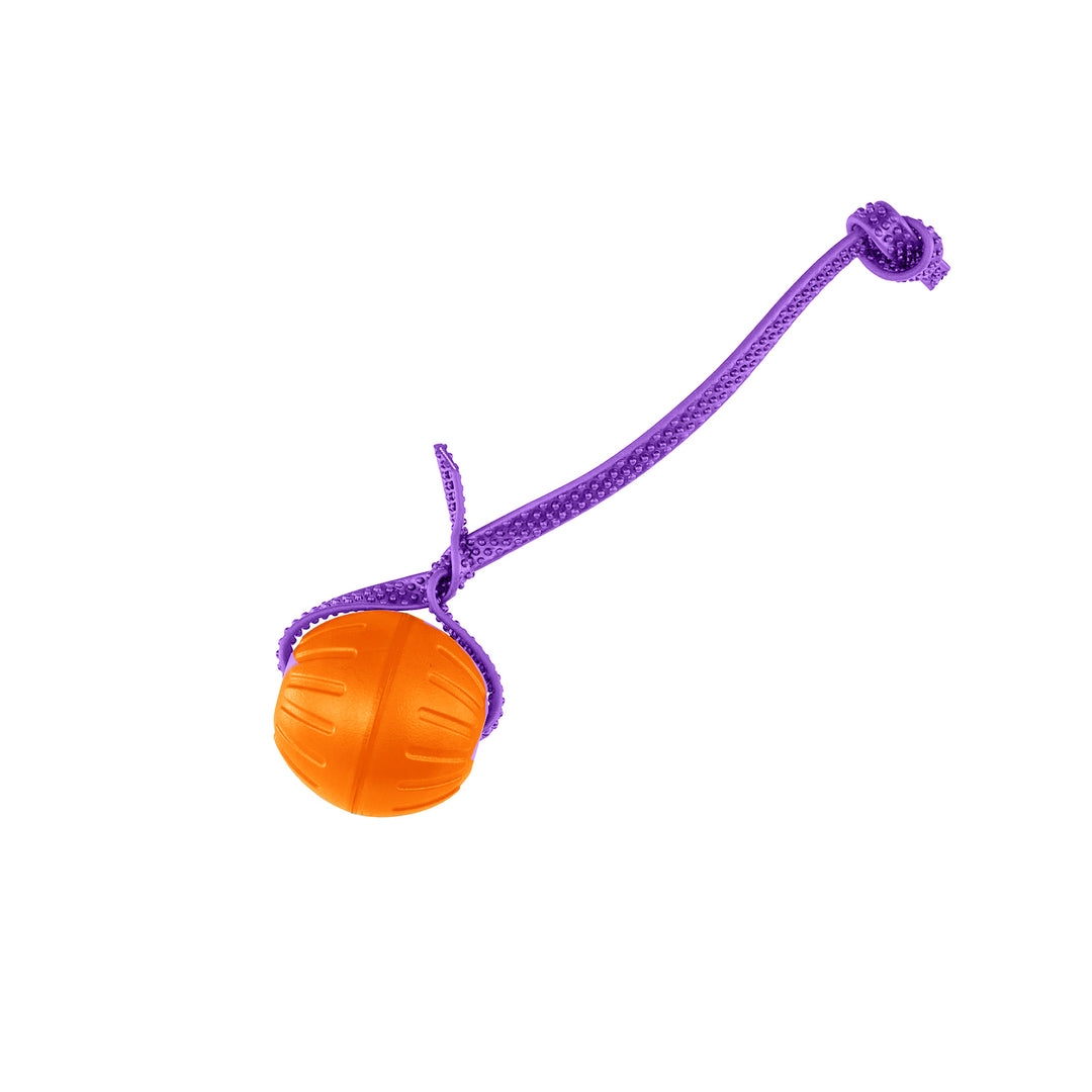 Discount Training Balls