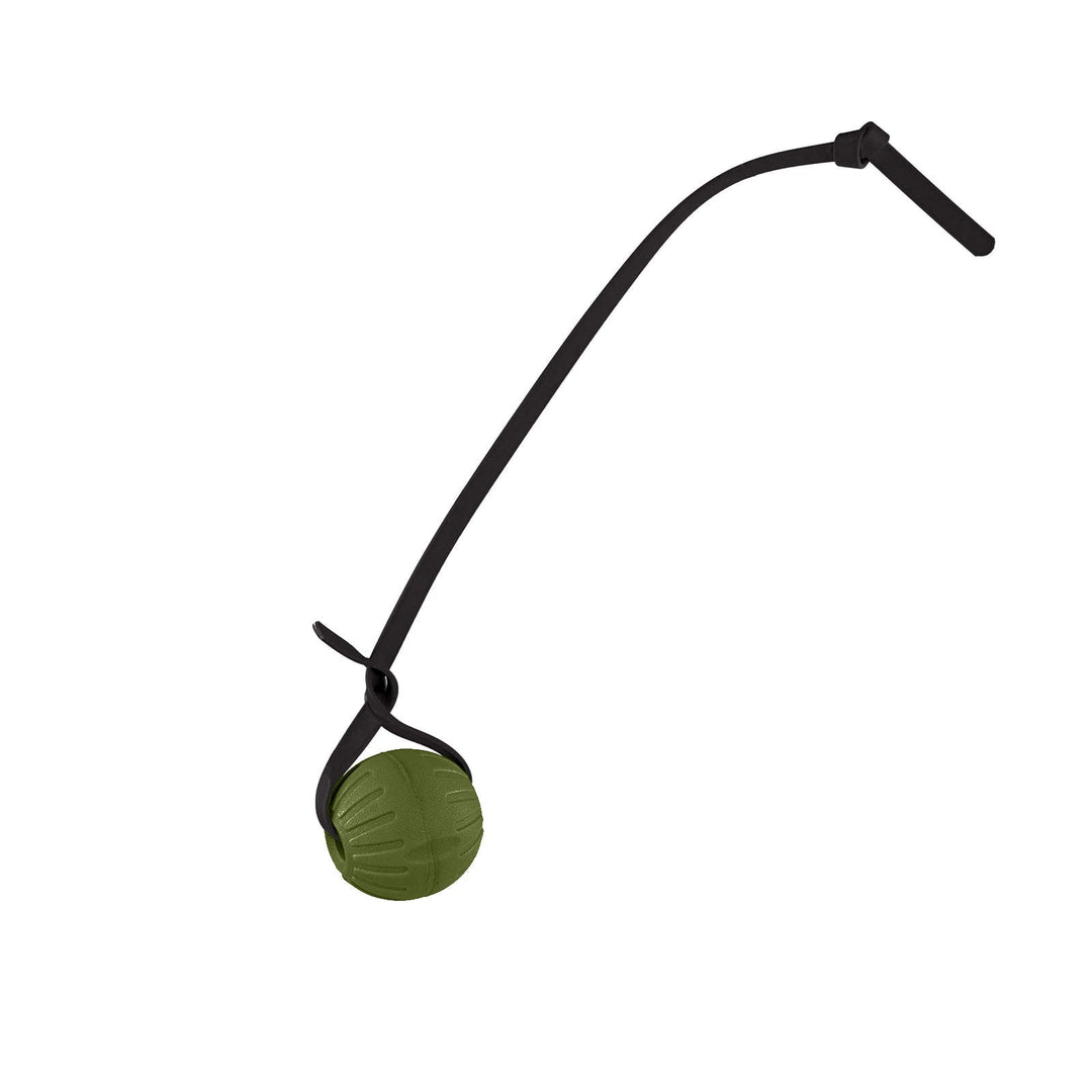 Discount Training Balls