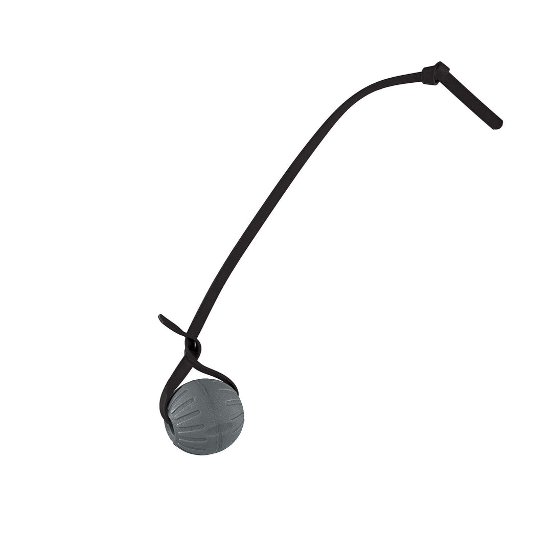 Discount Training Balls