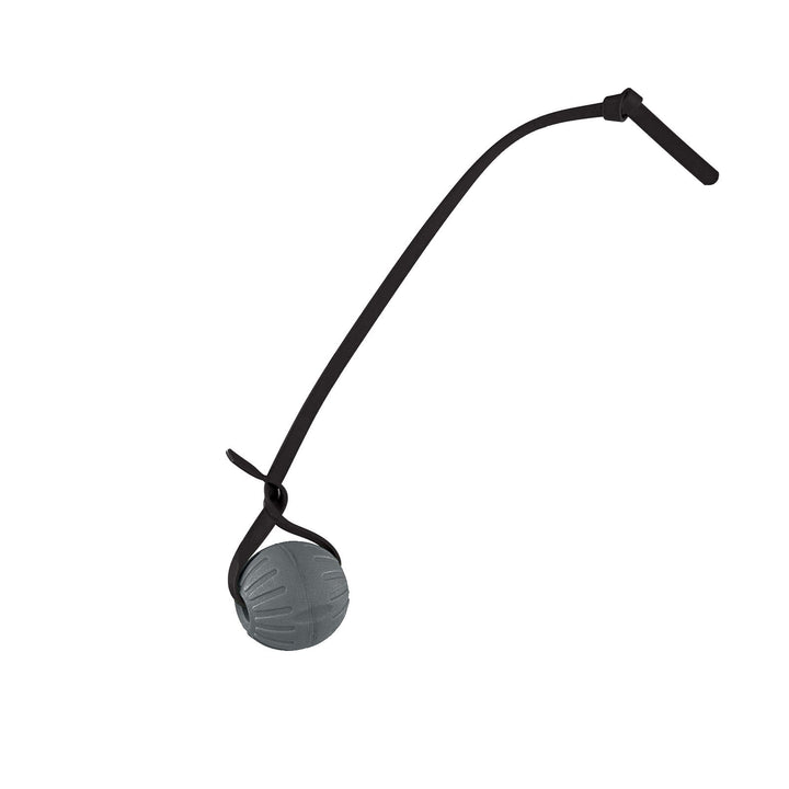 Discount Training Balls