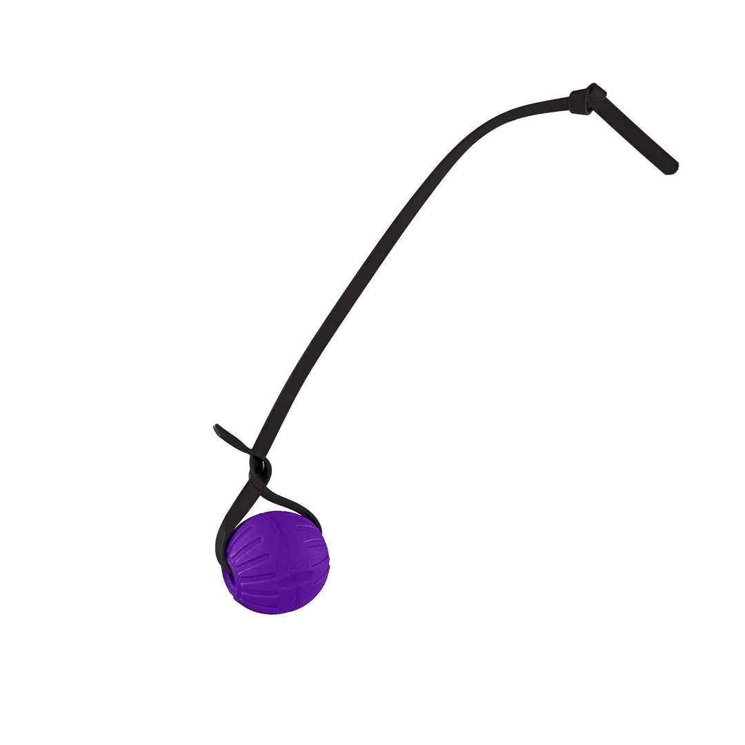 Discount Training Balls