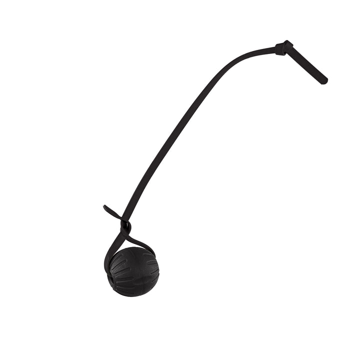 Discount Training Balls