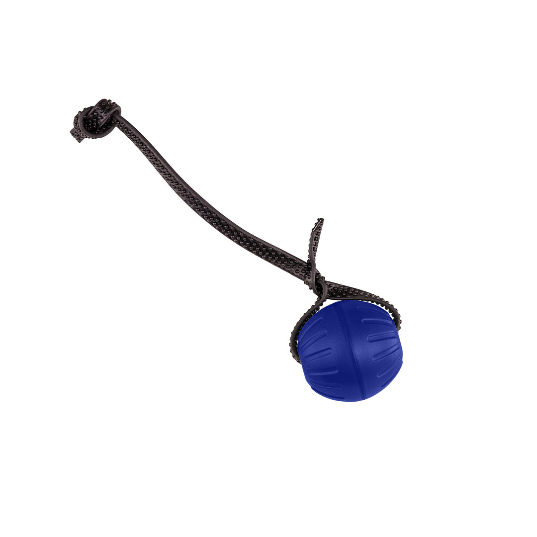 Discount Training Balls