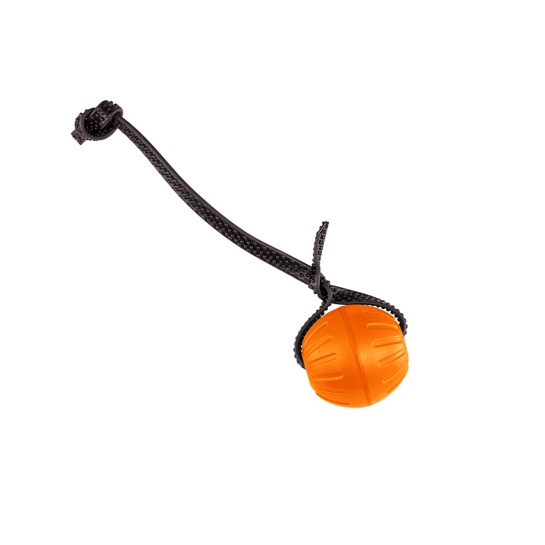 Discount Training Balls