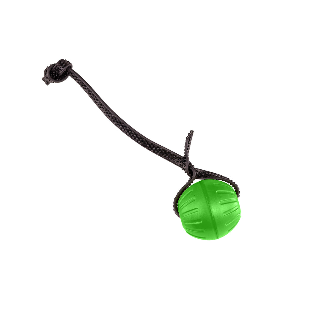 Discount Training Balls