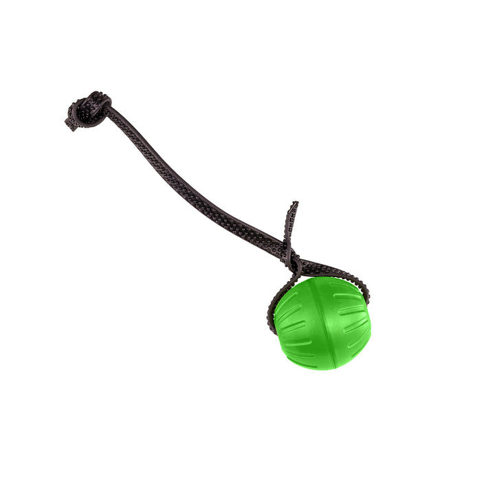 Discount Training Balls