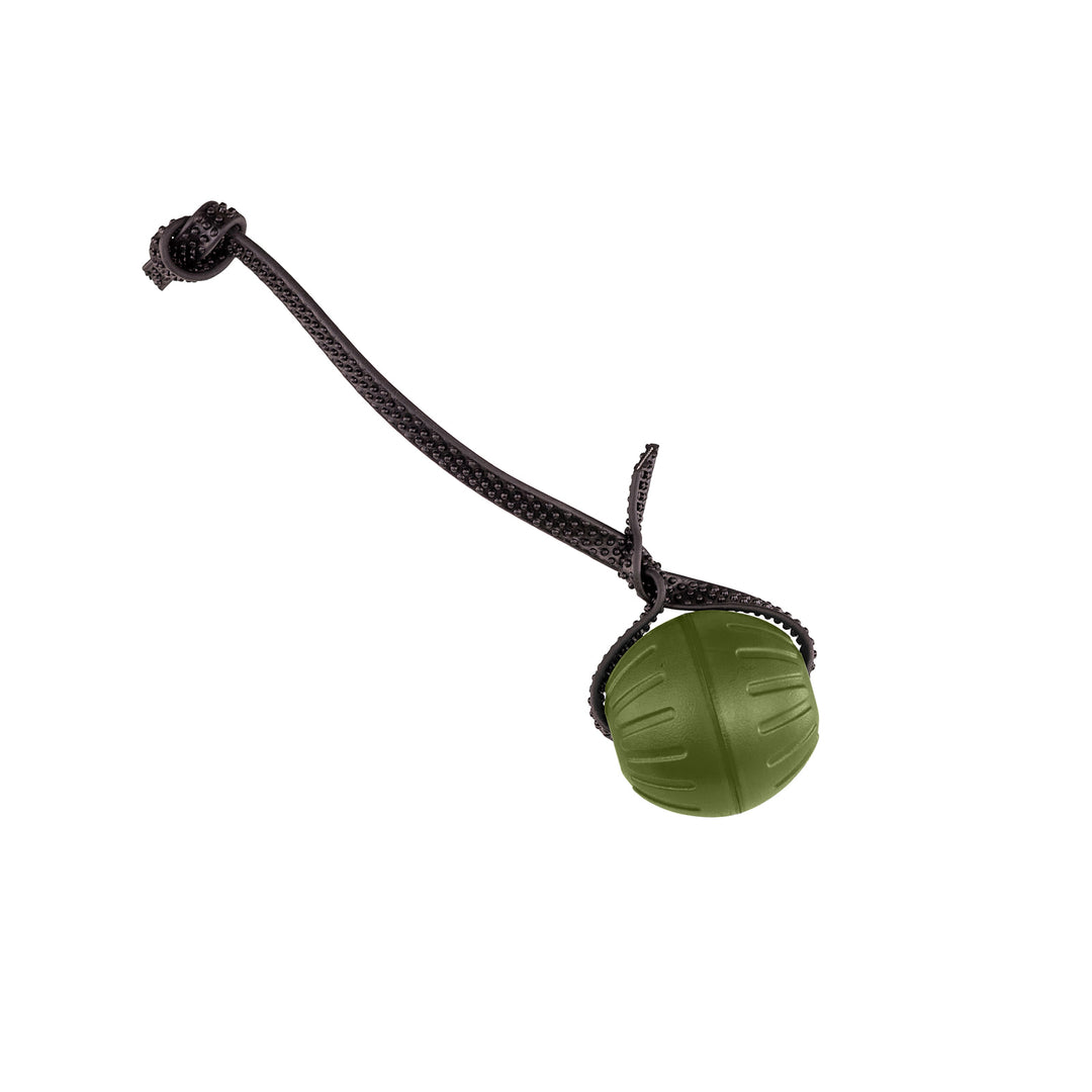 Discount Training Balls