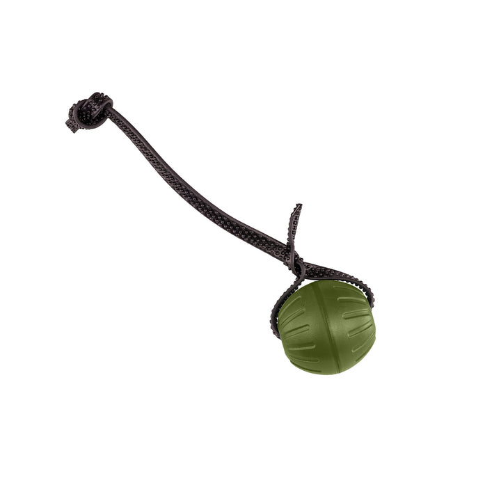 Discount Training Balls