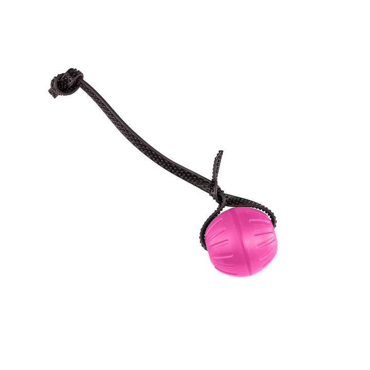 Discount Training Balls