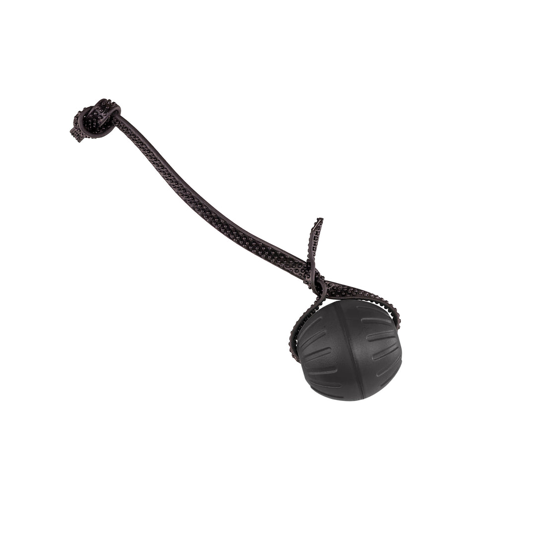 Discount Training Balls