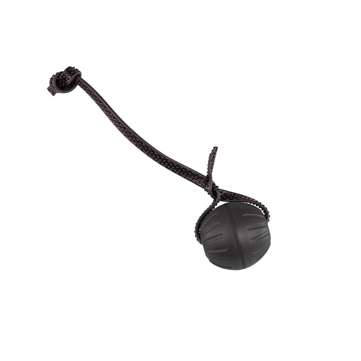 Discount Training Balls