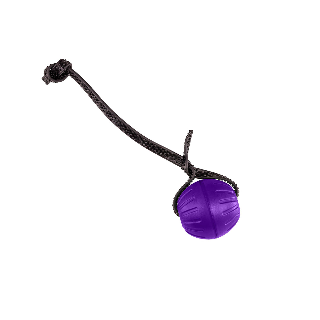 Discount Training Balls