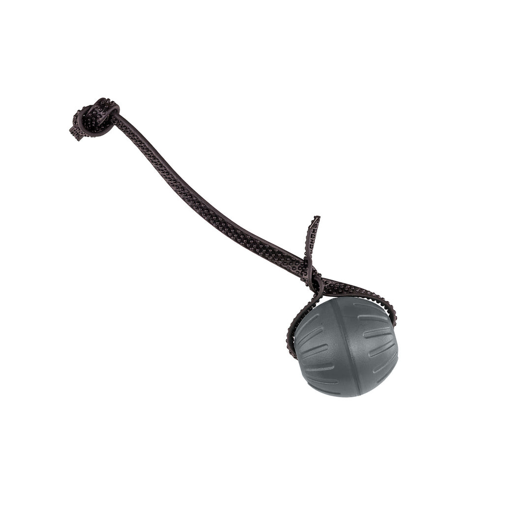 Discount Training Balls