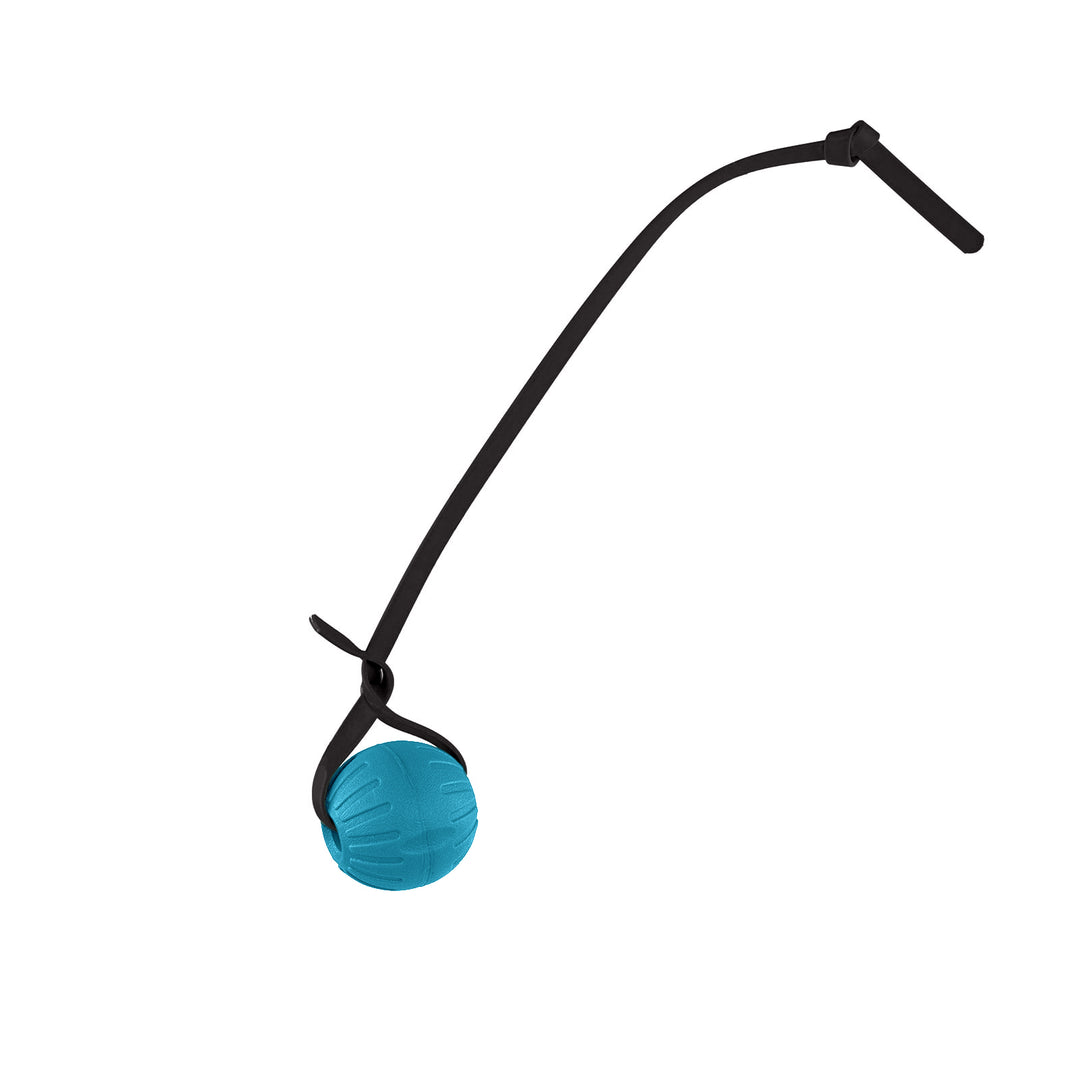 Discount Training Balls