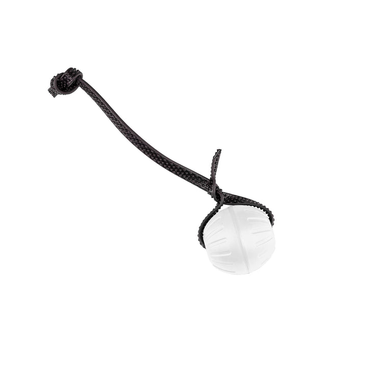 Discount Training Balls