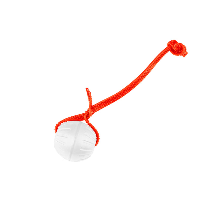 Discount Training Balls