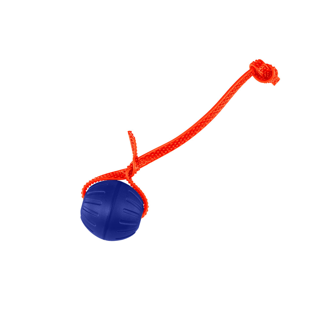 Discount Training Balls