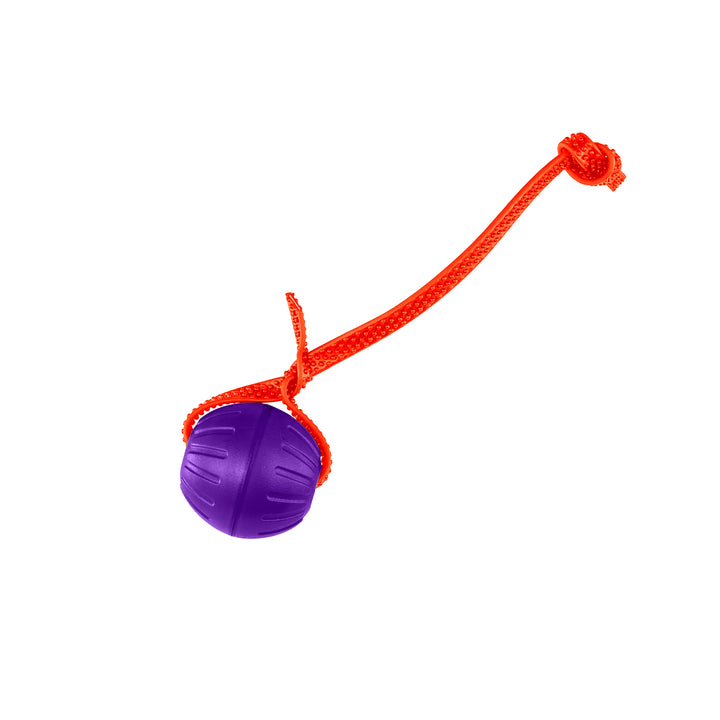 Discount Training Balls